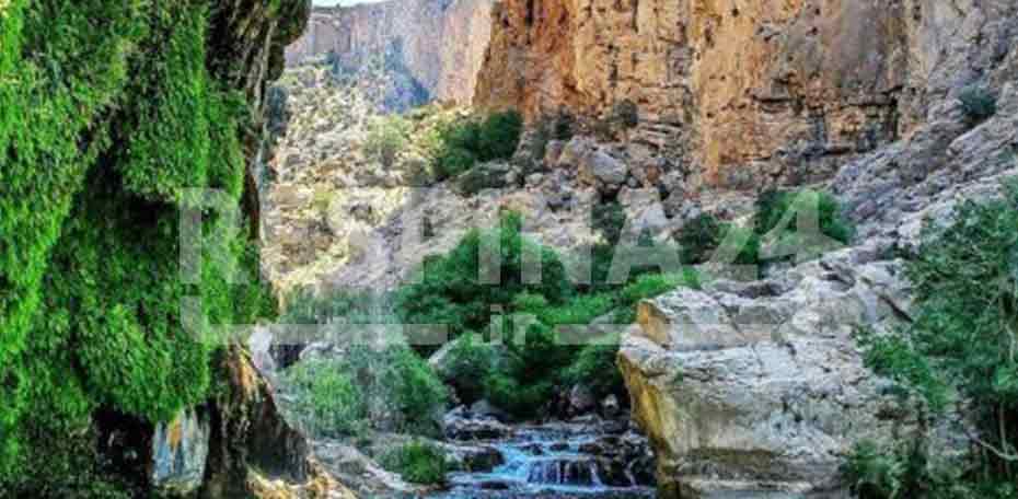 بلیط قطار شیراز اقلید - رسپینا 24 